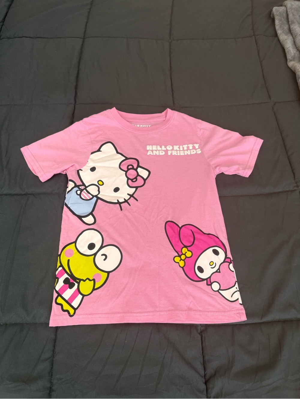 Sanrio Pink Hello Kitty & Friends Short Sleeve Tee